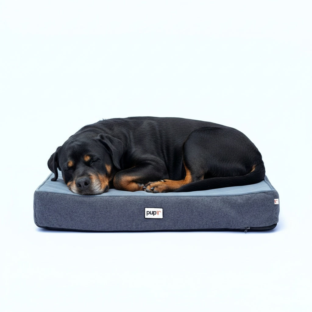 Grey Rectangular Dog Bed - Alpha