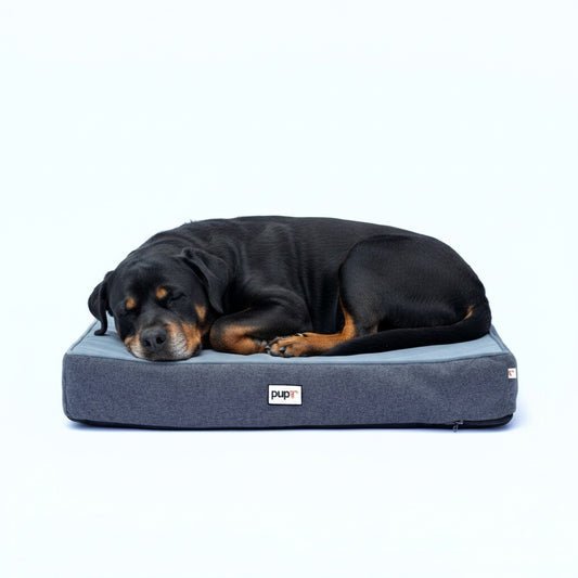 Grey Rectangular Dog Bed - Alpha