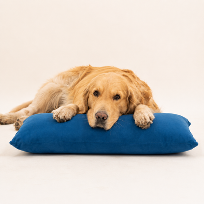 Dog Pillow-Navy