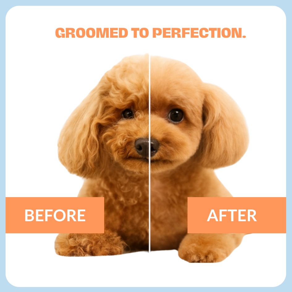 Dog Moisturising conditioner
