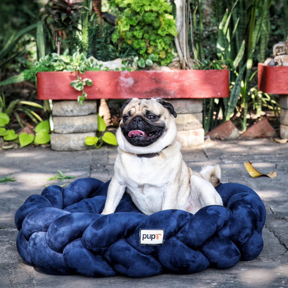 Bruno Dog Bed-Navy
