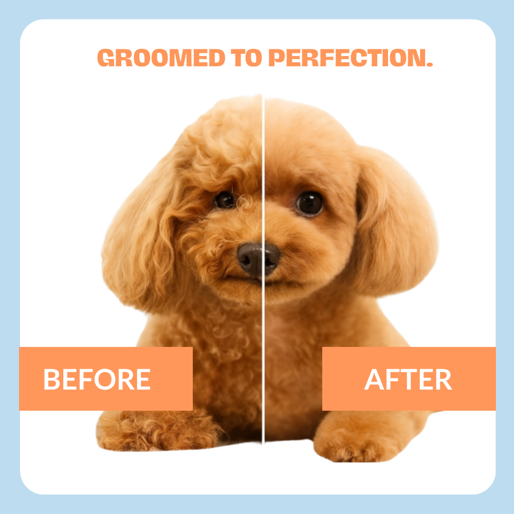 Cleansing  Dog Shampoo