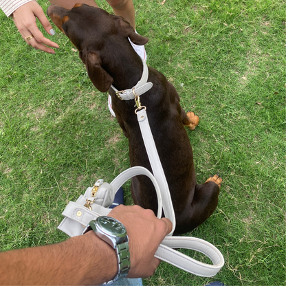 Moonstone Grey Dog Collar & Leash Set
