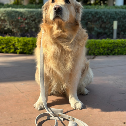 Moonstone Grey Dog Collar & Leash Set