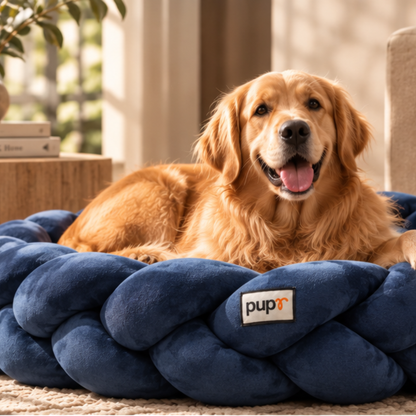 Bruno Dog Bed-Navy