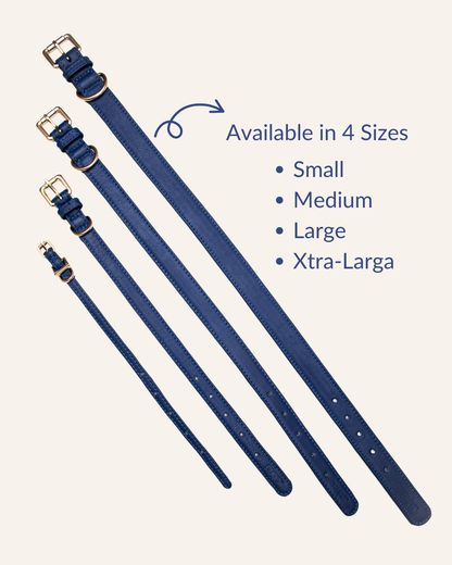 Navy Blue Dog Collar