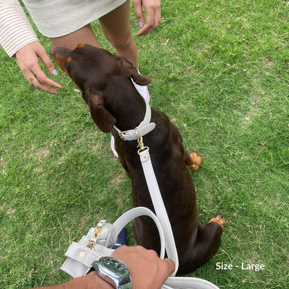 Dog Leashes(Beige)