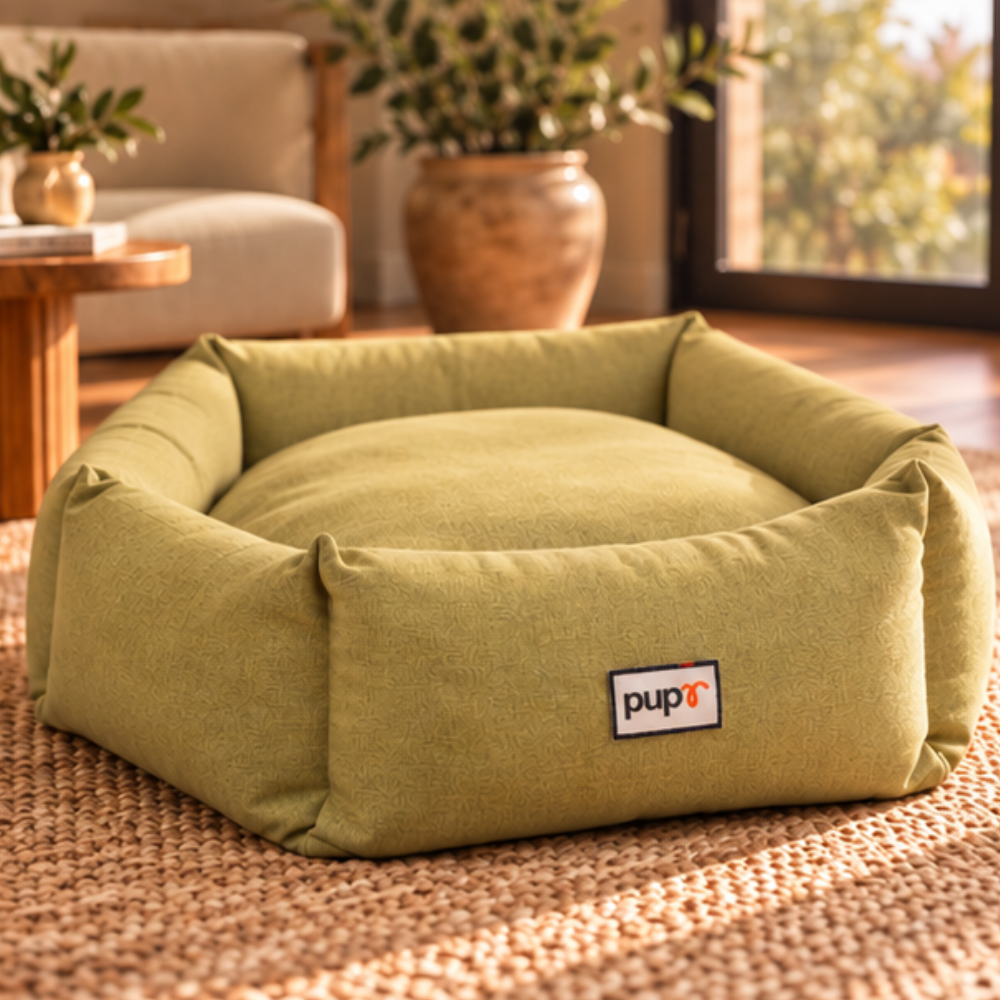 Alex dog Bed-Olive