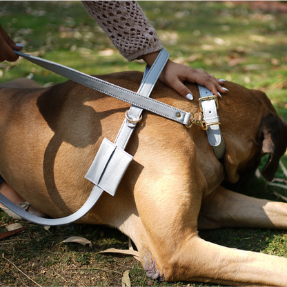 Moonstone Grey Dog Collar & Leash Set