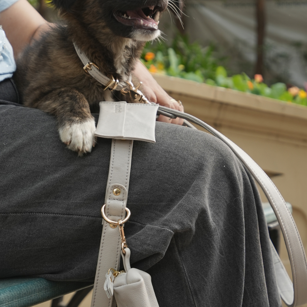 Moonstone Grey Dog Collar & Leash Set