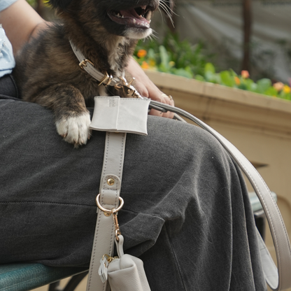 Moonstone Grey Dog Collar & Leash Set