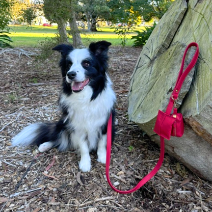 Garnet Red Dog Collar & Leash Set