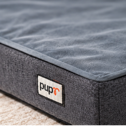 Alpha Dog Bed-Grey