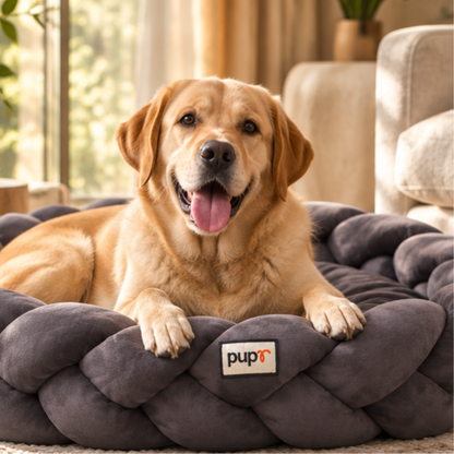 Bruno Dog Bed-Grey