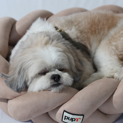 Bruno Beige Dog Bed