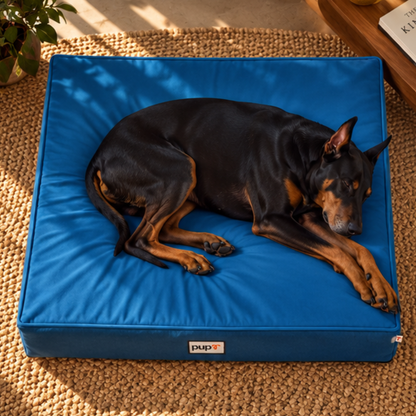 Alpha Dog Bed-Navy