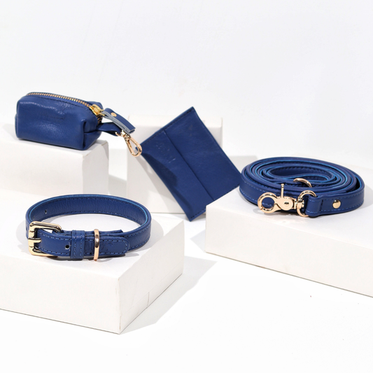 Sapphire Blue Dog Collar & Leash Set