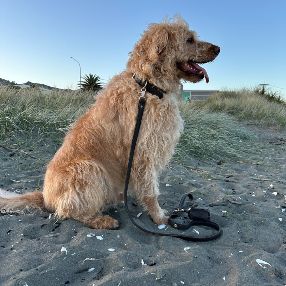 Bronzite Brown Dog Collar & Leash Set