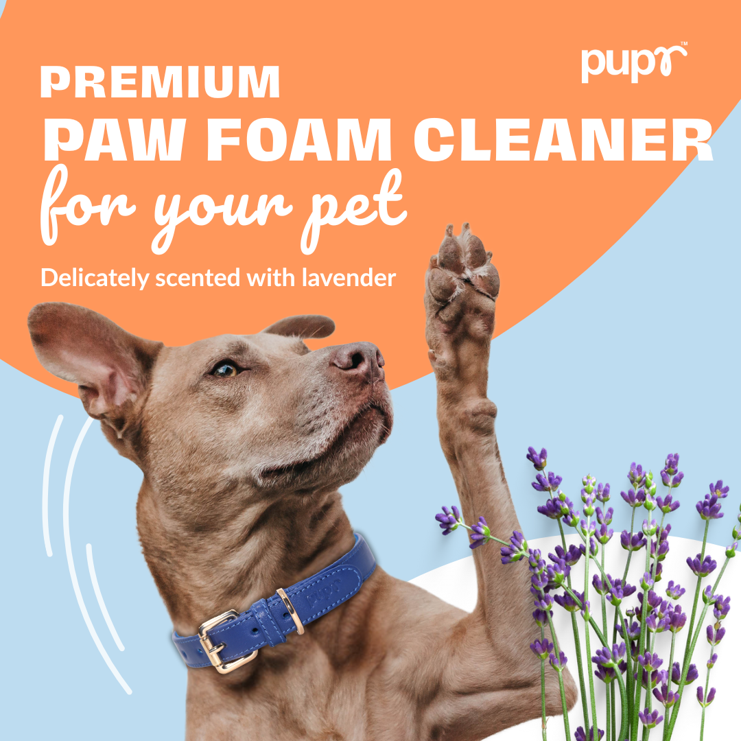 Dog Paw Foam Cleaner