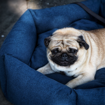 Alex Dog Bed-Navy