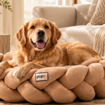 Bruno Dog Bed-Beige