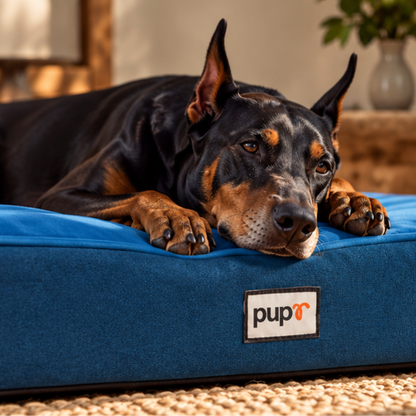 Alpha Dog Bed-Navy