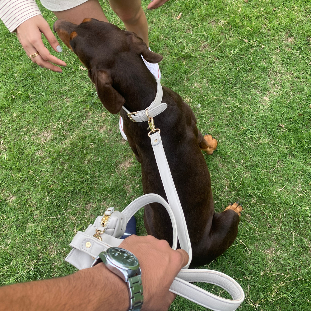 Moonstone Grey Dog Waste Bag Holder
