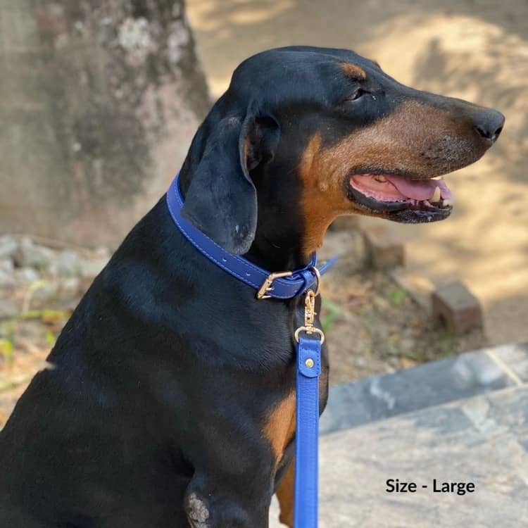 Navy Blue Dog Collar