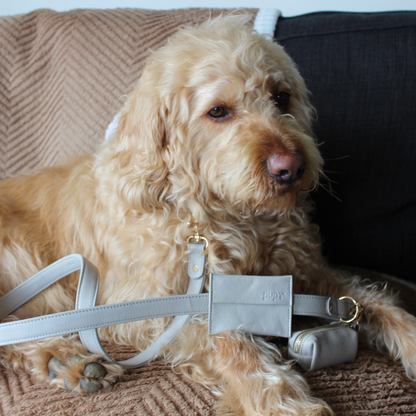 Moonstone Grey Dog Waste Bag Holder