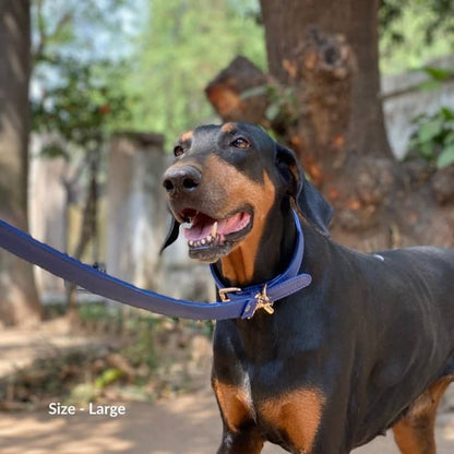 Navy Blue Dog Collar