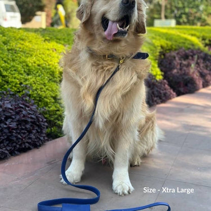 Navy Blue Dog Collar
