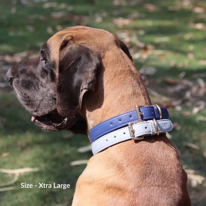 Navy Blue Dog Collar