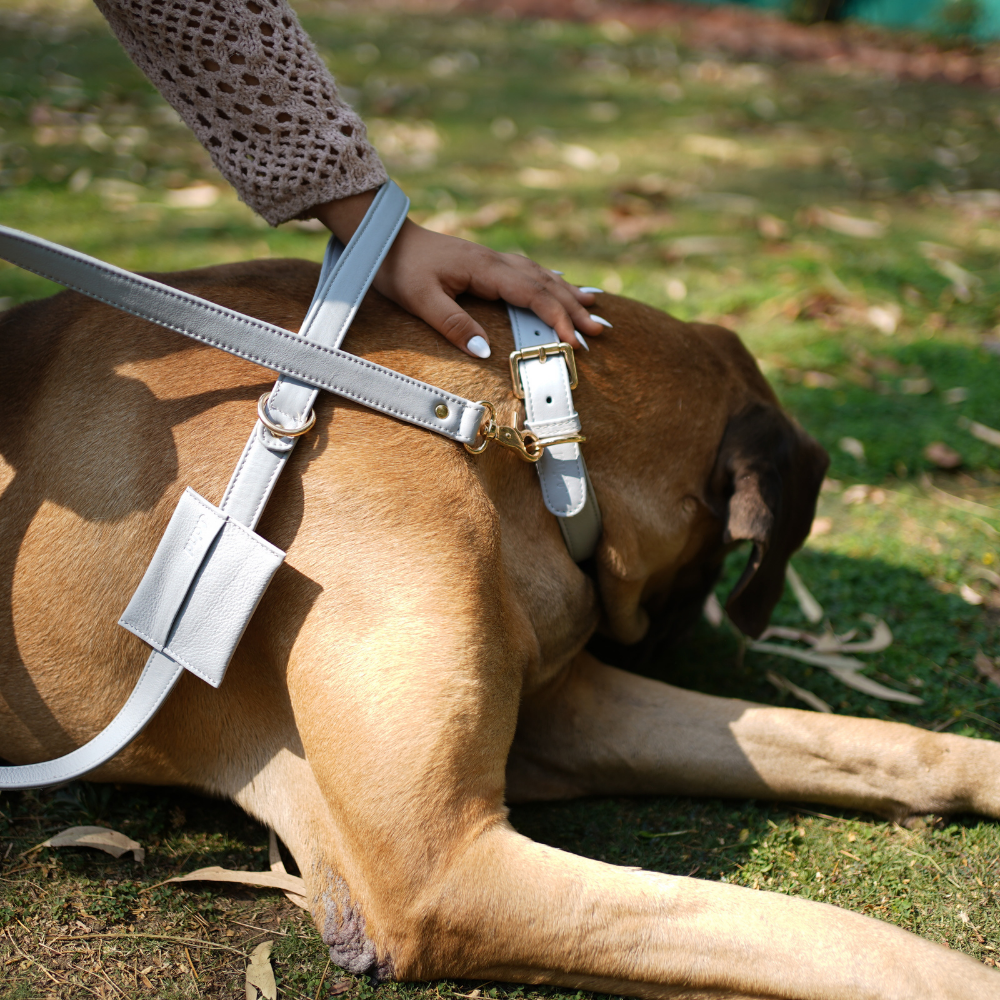 Moonstone Grey Dog Waste Bag Holder