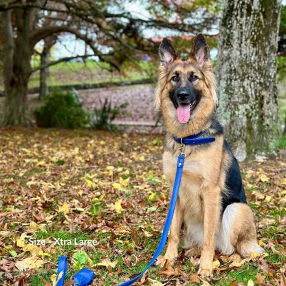 Navy Blue Dog Collar