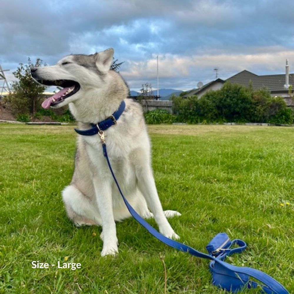 Navy Blue Dog Collar