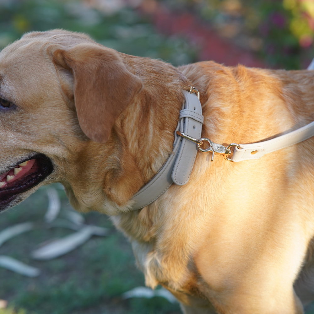 Moonstone Grey Dog Waste Bag Holder