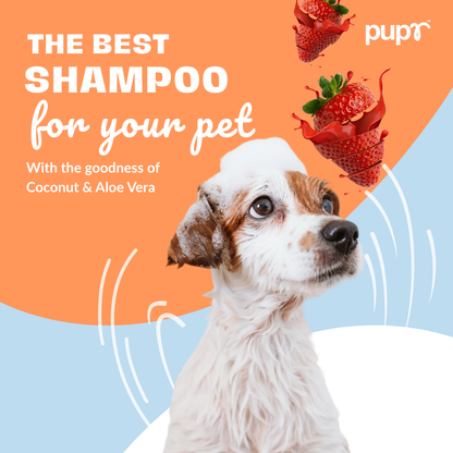 Cleansing  Dog Shampoo