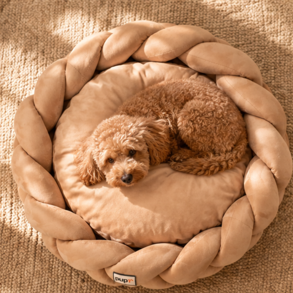 Bruno Dog Bed-Beige