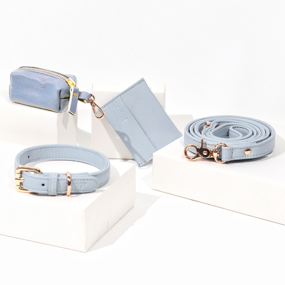 Aquamarine Blue Dog Collar & Leash set
