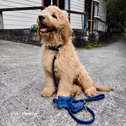 Dog Leashes(Navy Blue)