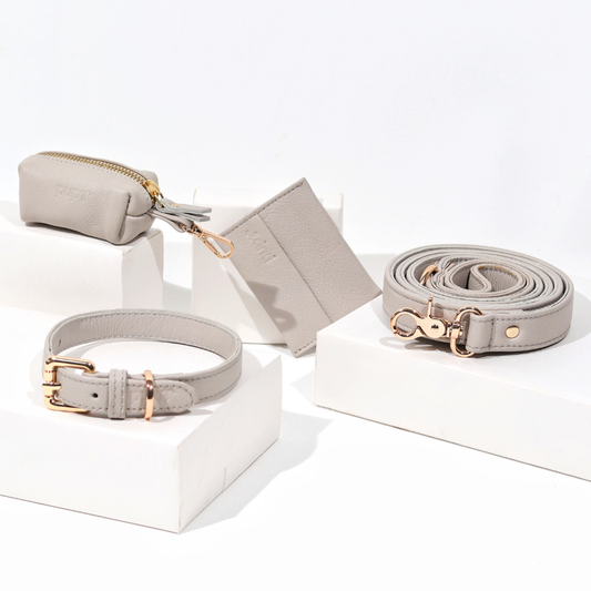 Moonstone Grey Dog Collar & Leash Set