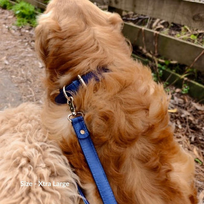 Navy Blue Dog Collar
