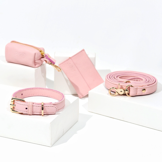Pink Quartz Dog Collar & Leash Set