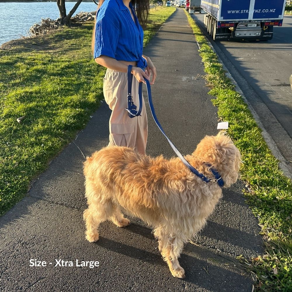 Dog Leashes(Navy Blue)