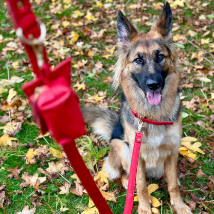Red Dog waste Bag Holder