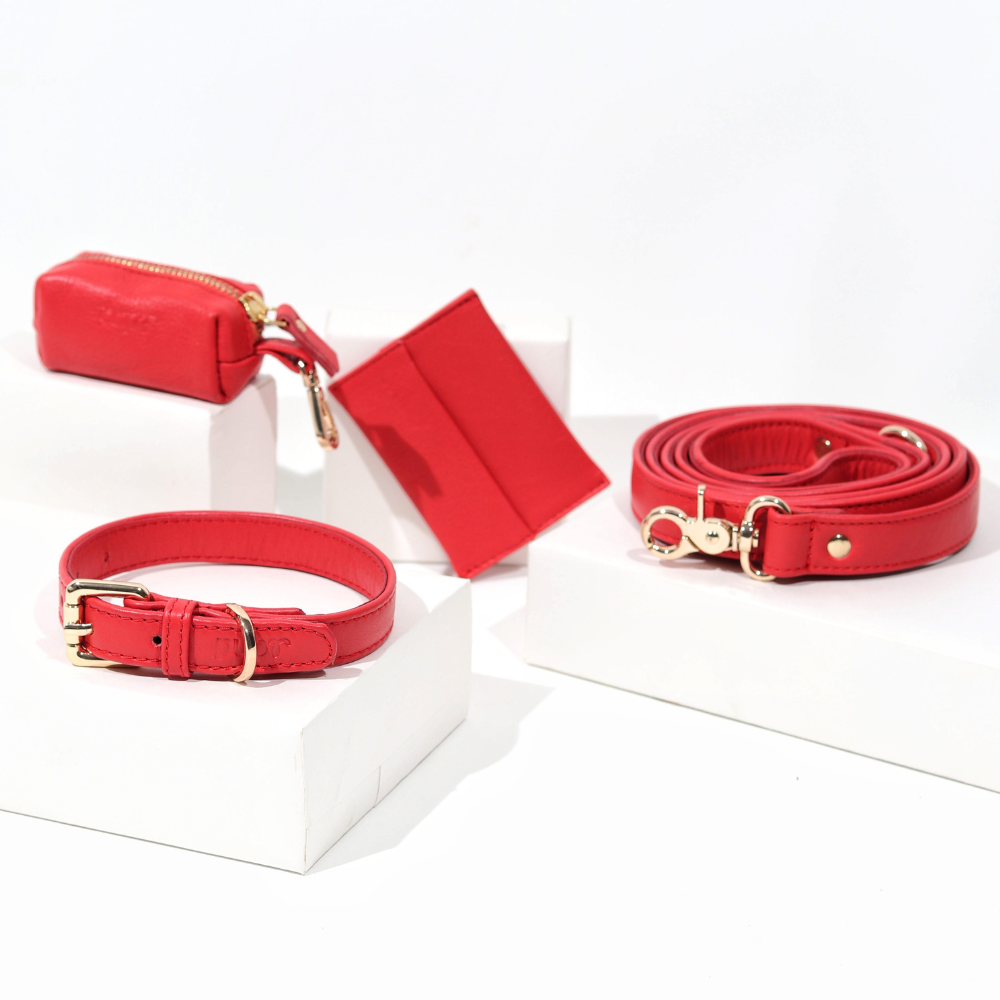 Garnet Red Dog Collar & Leash Set