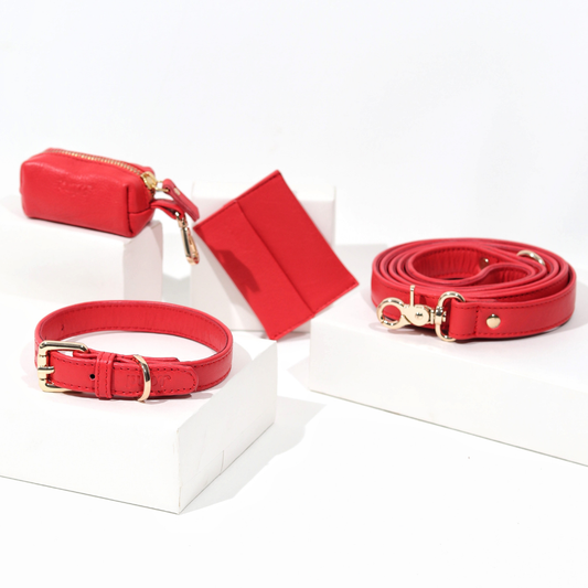 Garnet Red Dog Collar & Leash Set