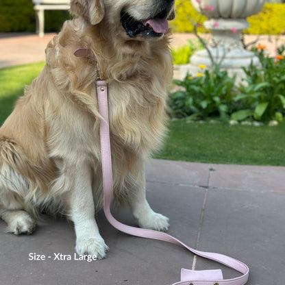 Blush Dog Collar