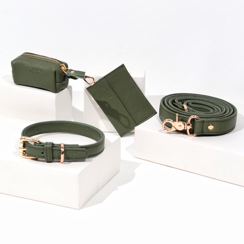Jade Green Dog Collar & Leash Set