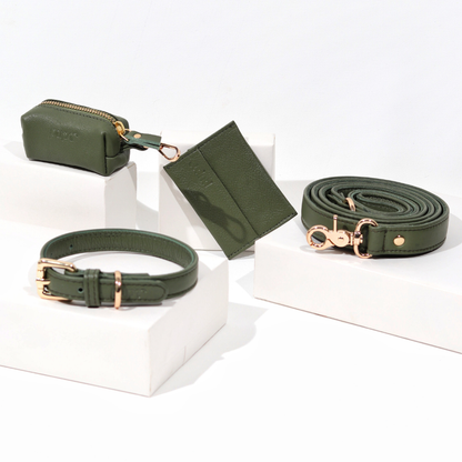 Jade Green Dog Collar & Leash Set